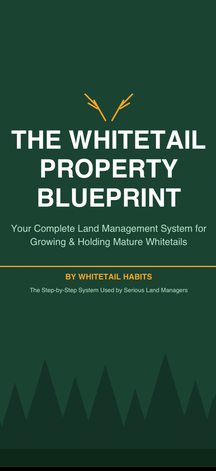 The whitetail property guide